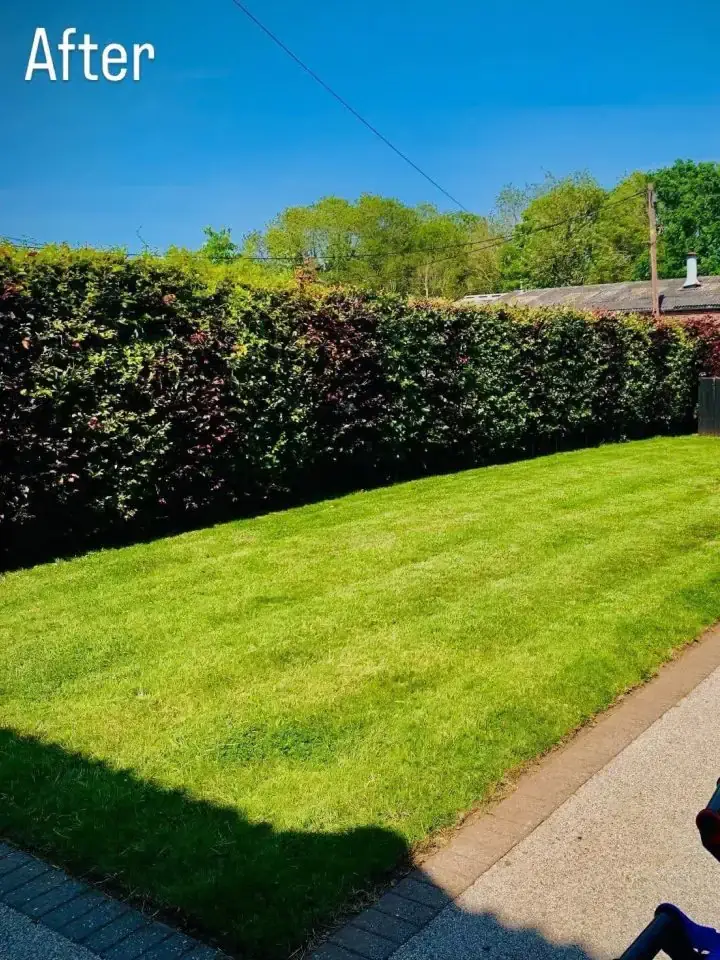 After image of a back garden having been renovated and a new lawn was laid