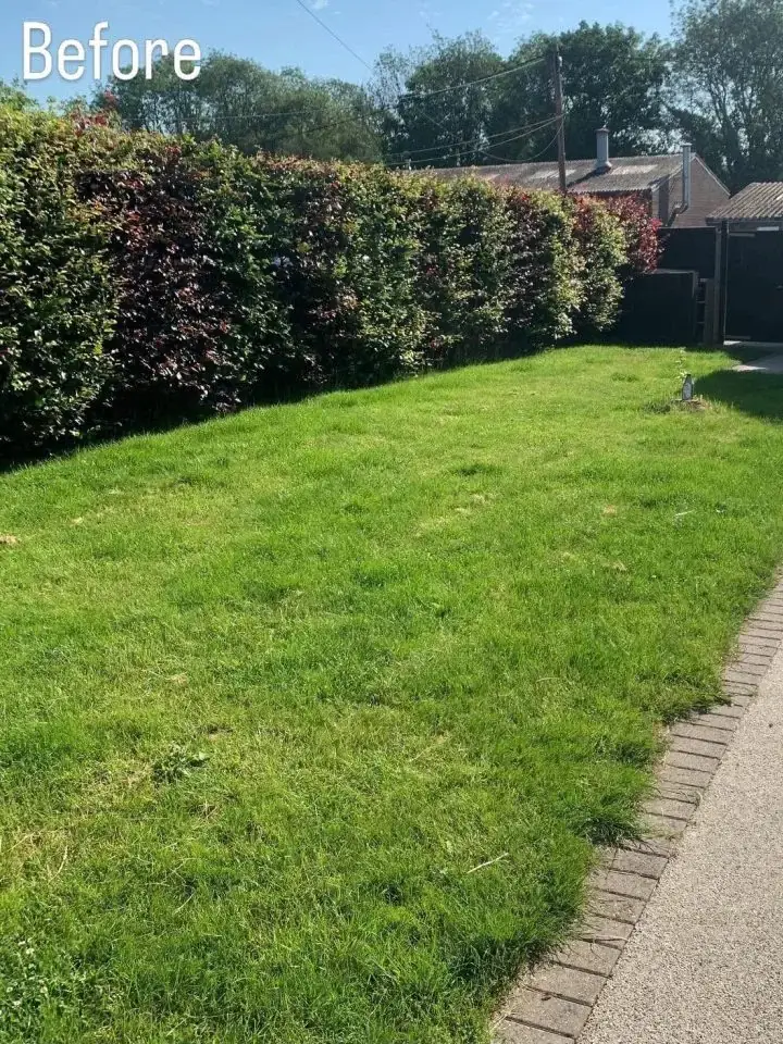 Before image of a back garden prior to being renovated and a new lawn is laid