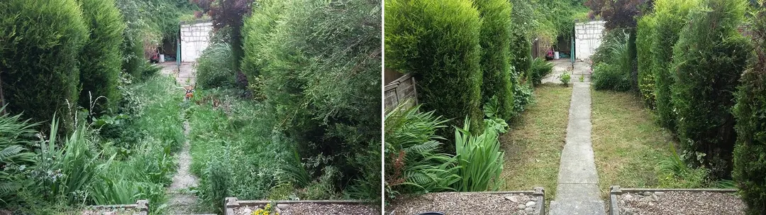 Overgrown back garden in County Carlow before and after clearance