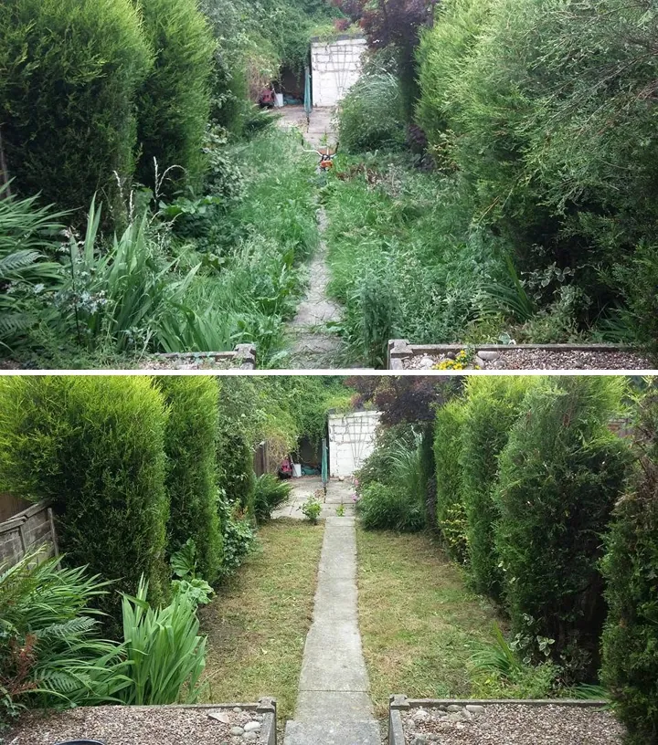 Overgrown back garden in County Carlow before and after clearance
